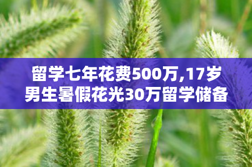 留学七年花费500万,17岁男生暑假花光30万留学储备金,错位的消费观,才是家庭教育的隐形漏洞 留学七年花费500万,17岁男生暑假花光30万留学储备金,错位的消费观,才是家庭教育的隐形漏洞