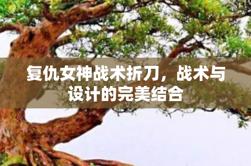 战术与设计的完美结合图片