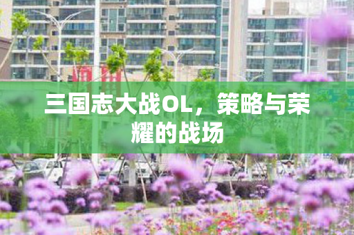 策略与荣耀的战场图片