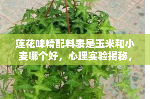 莲花味精配料表是玉米和小麦哪个好,心理实验揭秘,沉迷纯净莲花味精?多巴胺陷阱细思极恐 莲花味精配料表是玉米和小麦哪个好,心理实验揭秘,沉迷纯净莲花味精?多巴胺陷阱细思极恐