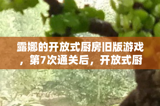 露娜的开放式厨房旧版游戏,第7次通关后,开放式厨房蹊跷渗血,真相让我后背发凉 露娜的开放式厨房旧版游戏,第7次通关后,开放式厨房蹊跷渗血,真相让我后背发凉