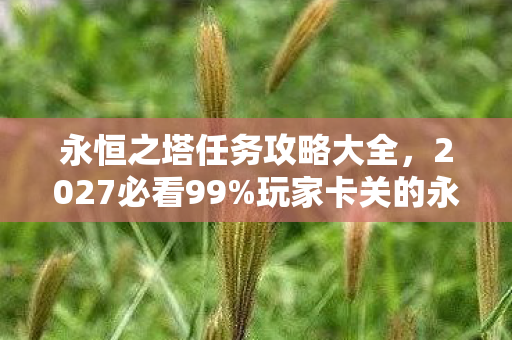 永恒之塔任务攻略大全,2027必看99%玩家卡关的永恒之塔任务,实测3天通关心得颠覆认知! 永恒之塔任务攻略大全,2027必看99%玩家卡关的永恒之塔任务,实测3天通关心得颠覆认知!