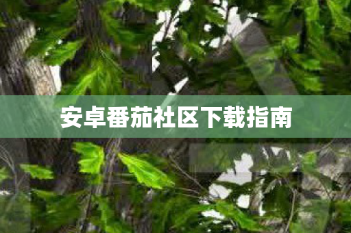 安卓番茄社区下载指南图片