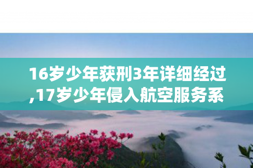 16岁少年获刑3年详细经过,17岁少年侵入航空服务系统获刑4年 青少年数字素养培育成热议话题 16岁少年获刑3年详细经过,17岁少年侵入航空服务系统获刑4年 青少年数字素养培育成热议话题