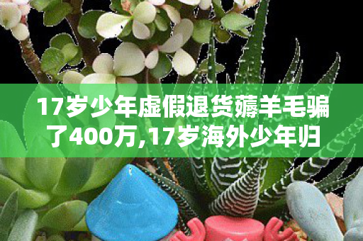 17岁少年虚假退货薅羊毛骗了400万,17岁海外少年归心似箭 冲动之举敲响网络行为安全警钟 17岁少年虚假退货薅羊毛骗了400万,17岁海外少年归心似箭 冲动之举敲响网络行为安全警钟