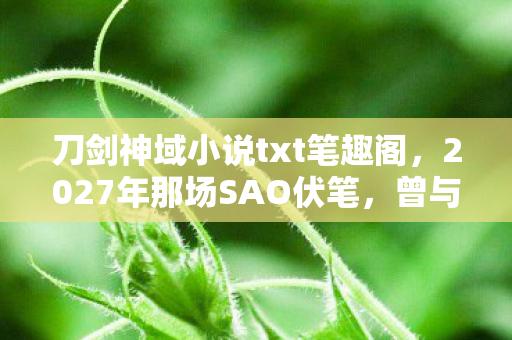 刀剑神域小说txt笔趣阁,2027年那场SAO伏笔,曾与你共赴生死,如今读来鼻子一酸 刀剑神域小说txt笔趣阁,2027年那场SAO伏笔,曾与你共赴生死,如今读来鼻子一酸