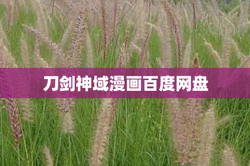 刀剑神域漫画百度网盘 刀剑神域漫画百度网盘