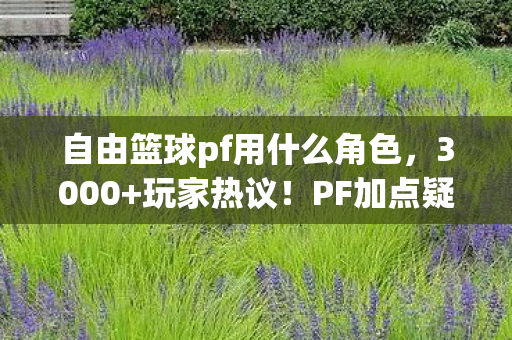 自由篮球pf用什么角色,3000+玩家热议!PF加点疑云,大神萌新全翻车,这操作真绷不住了 自由篮球pf用什么角色,3000+玩家热议!PF加点疑云,大神萌新全翻车,这操作真绷不住了