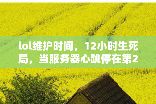 lol维护时间,12小时生死局,当服务器心跳停在第2027次维护公告时,玩家集体泪目 lol维护时间,12小时生死局,当服务器心跳停在第2027次维护公告时,玩家集体泪目