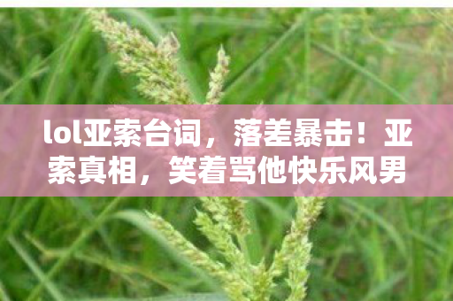 lol亚索台词,落差暴击!亚索真相,笑着骂他快乐风男,笑着笑着就哭了 lol亚索台词,落差暴击!亚索真相,笑着骂他快乐风男,笑着笑着就哭了