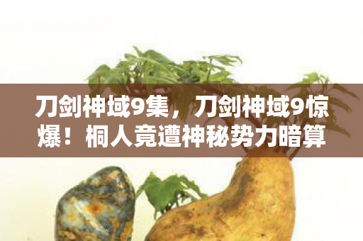 刀剑神域9集,刀剑神域9惊爆!桐人竟遭神秘势力暗算,生死一线悬念拉满! 刀剑神域9集,刀剑神域9惊爆!桐人竟遭神秘势力暗算,生死一线悬念拉满!