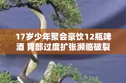 17岁少年聚会豪饮12瓶啤酒 胃部过度扩张濒临破裂 17岁少年聚会豪饮12瓶啤酒 胃部过度扩张濒临破裂