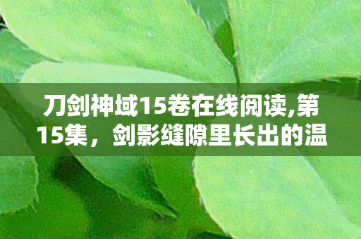刀剑神域15卷在线阅读,第15集,剑影缝隙里长出的温柔烟火 刀剑神域15卷在线阅读,第15集,剑影缝隙里长出的温柔烟火