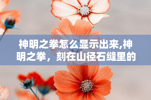 神明之拳怎么显示出来,神明之拳,刻在山径石缝里的侠气 神明之拳怎么显示出来,神明之拳,刻在山径石缝里的侠气