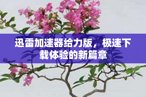 极速下载体验的新篇章图片