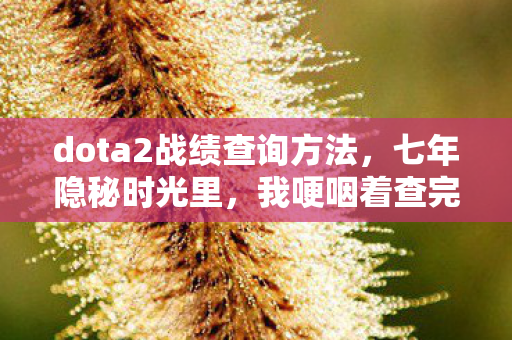 dota2战绩查询方法,七年隐秘时光里,我哽咽着查完最后三分钟战斗力 dota2战绩查询方法,七年隐秘时光里,我哽咽着查完最后三分钟战斗力