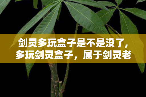 剑灵多玩盒子是不是没了,多玩剑灵盒子,属于剑灵老玩家的专属青春印记 剑灵多玩盒子是不是没了,多玩剑灵盒子,属于剑灵老玩家的专属青春印记