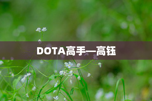 DOTA高手图片
