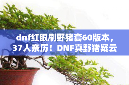 dnf红眼刷野猪套60版本,37人亲历!DNF真野猪疑云,红眼大神竟集体绷不住? dnf红眼刷野猪套60版本,37人亲历!DNF真野猪疑云,红眼大神竟集体绷不住?