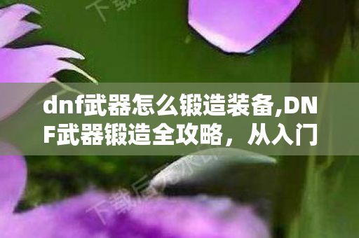 dnf武器怎么锻造装备,DNF武器锻造全攻略,从入门到满锻的实用技巧分享 dnf武器怎么锻造装备,DNF武器锻造全攻略,从入门到满锻的实用技巧分享