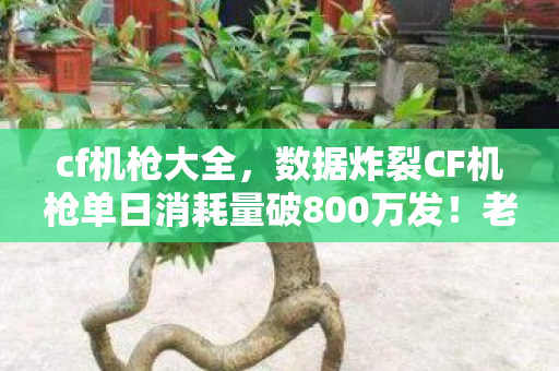 cf机枪大全,数据炸裂CF机枪单日消耗量破800万发!老玩家泪目,这竟是游戏界的隐形印钞机? cf机枪大全,数据炸裂CF机枪单日消耗量破800万发!老玩家泪目,这竟是游戏界的隐形印钞机?