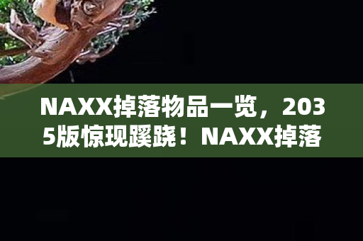 NAXX掉落物品一览,2035版惊现蹊跷!NAXX掉落竟藏十年未解之谜,泪目! NAXX掉落物品一览,2035版惊现蹊跷!NAXX掉落竟藏十年未解之谜,泪目!