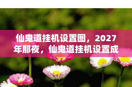 仙鬼道挂机设置图,2027年那夜,仙鬼道挂机设置成诀别伏笔,如今想起鼻子一酸 仙鬼道挂机设置图,2027年那夜,仙鬼道挂机设置成诀别伏笔,如今想起鼻子一酸