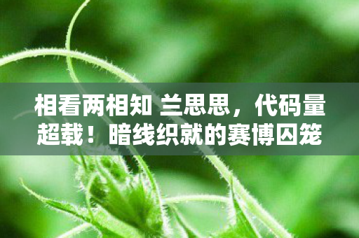 相看两相知 兰思思,代码量超载!暗线织就的赛博囚笼,当玩家行为触发头皮发麻级文明叛乱 相看两相知 兰思思,代码量超载!暗线织就的赛博囚笼,当玩家行为触发头皮发麻级文明叛乱