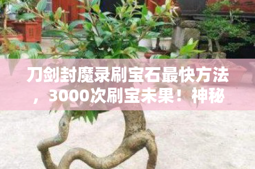 刀剑封魔录刷宝石最快方法,3000次刷宝未果!神秘玩家身份曝光,这心酸谁懂? 刀剑封魔录刷宝石最快方法,3000次刷宝未果!神秘玩家身份曝光,这心酸谁懂?