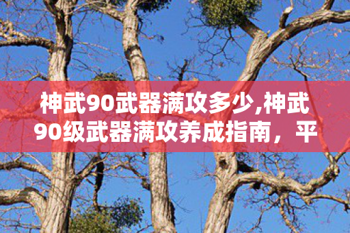 神武90武器满攻多少,神武90级武器满攻养成指南,平稳过渡等级阶段的核心细节 神武90武器满攻多少,神武90级武器满攻养成指南,平稳过渡等级阶段的核心细节