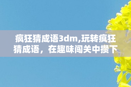 疯狂猜成语3dm,玩转疯狂猜成语,在趣味闯关中攒下满满的文化积累 疯狂猜成语3dm,玩转疯狂猜成语,在趣味闯关中攒下满满的文化积累