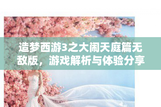 造梦西游3之大闹天庭篇无敌版图片
