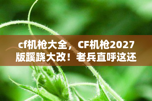 cf机枪大全,CF机枪2027版蹊跷大改!老兵直呼这还是我认识的火线? cf机枪大全,CF机枪2027版蹊跷大改!老兵直呼这还是我认识的火线?