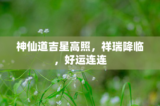 神仙道吉星高照图片