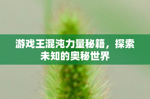游戏王混沌力量秘籍图片