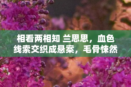 相看两相知 兰思思,血色线索交织成悬案,毛骨悚然,我,竟是自己的终结者 相看两相知 兰思思,血色线索交织成悬案,毛骨悚然,我,竟是自己的终结者