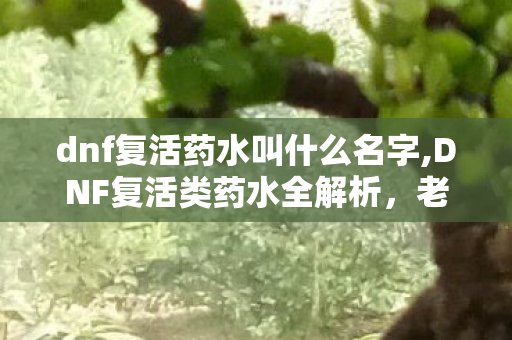 dnf复活药水叫什么名字,DNF复活类药水全解析,老玩家开荒的隐藏容错利器 dnf复活药水叫什么名字,DNF复活类药水全解析,老玩家开荒的隐藏容错利器