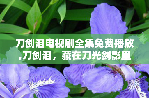 刀剑泪电视剧全集免费播放,刀剑泪,藏在刀光剑影里的江湖烟火与侠骨柔情 刀剑泪电视剧全集免费播放,刀剑泪,藏在刀光剑影里的江湖烟火与侠骨柔情