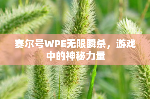 赛尔号WPE无限瞬杀图片