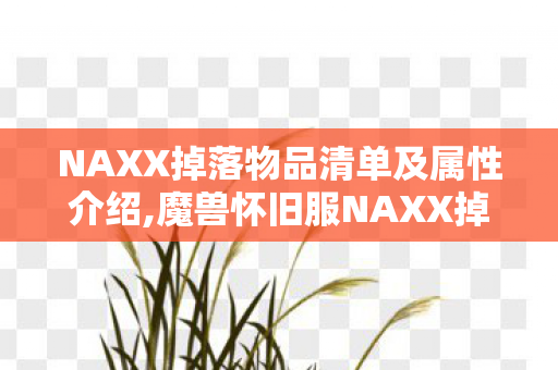NAXX掉落物品清单及属性介绍,魔兽怀旧服NAXX掉落图鉴,属于60级版本的终极情怀奖励 NAXX掉落物品清单及属性介绍,魔兽怀旧服NAXX掉落图鉴,属于60级版本的终极情怀奖励