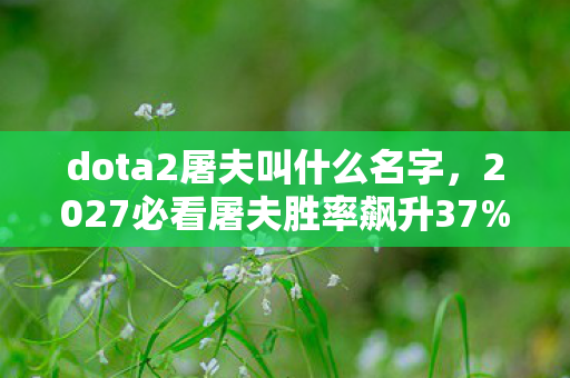 dota2屠夫叫什么名字,2027必看屠夫胜率飙升37%!99%玩家错过的3大核心心得 dota2屠夫叫什么名字,2027必看屠夫胜率飙升37%!99%玩家错过的3大核心心得