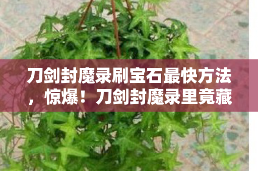 刀剑封魔录刷宝石最快方法,惊爆!刀剑封魔录里竟藏着99%玩家不知的刷宝石秘辛! 刀剑封魔录刷宝石最快方法,惊爆!刀剑封魔录里竟藏着99%玩家不知的刷宝石秘辛!