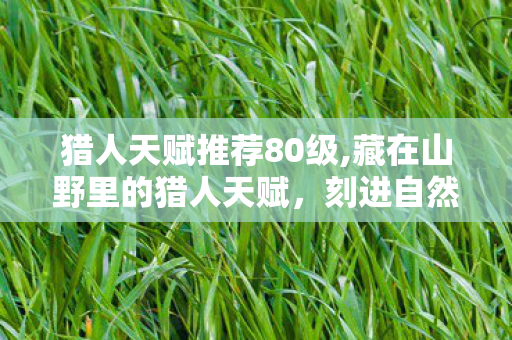 猎人天赋推荐80级,藏在山野里的猎人天赋,刻进自然骨血的共生智慧 猎人天赋推荐80级,藏在山野里的猎人天赋,刻进自然骨血的共生智慧