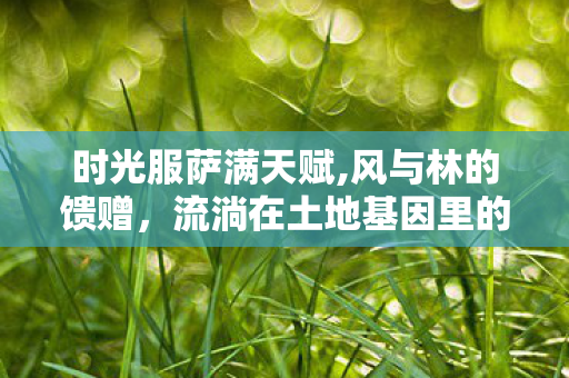 时光服萨满天赋,风与林的馈赠,流淌在土地基因里的萨满天赋 时光服萨满天赋,风与林的馈赠,流淌在土地基因里的萨满天赋