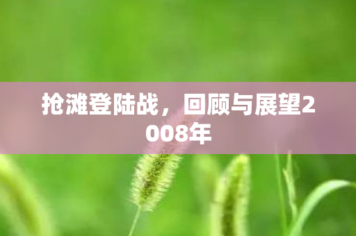 回顾与展望2008年图片