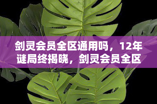 剑灵会员全区通用吗,12年谜局终揭晓,剑灵会员全区通用的泪目真相 剑灵会员全区通用吗,12年谜局终揭晓,剑灵会员全区通用的泪目真相
