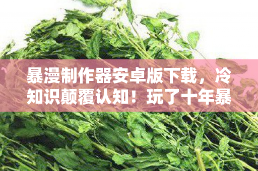 暴漫制作器安卓版下载,冷知识颠覆认知!玩了十年暴漫制作器,真相让我目瞪口呆 暴漫制作器安卓版下载,冷知识颠覆认知!玩了十年暴漫制作器,真相让我目瞪口呆