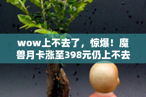 wow上不去了，惊爆！魔兽月卡涨至398元仍上不去？背后隐情让你吓一跳！