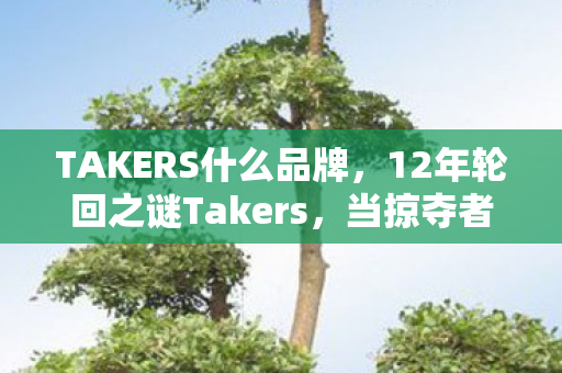 TAKERS什么品牌,12年轮回之谜Takers,当掠夺者成为守护者,泪目真相终揭晓 TAKERS什么品牌,12年轮回之谜Takers,当掠夺者成为守护者,泪目真相终揭晓