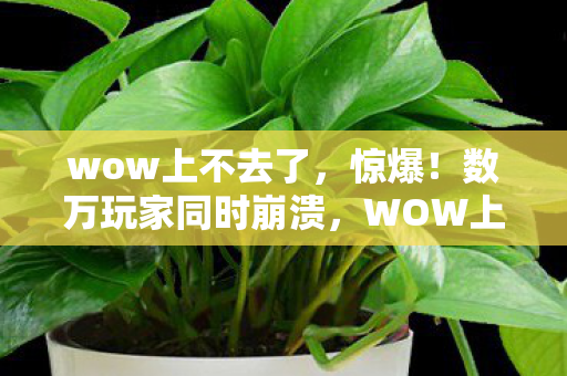 wow上不去了,惊爆!数万玩家同时崩溃,WOW上不去背后藏着什么惊天秘密? wow上不去了,惊爆!数万玩家同时崩溃,WOW上不去背后藏着什么惊天秘密?
